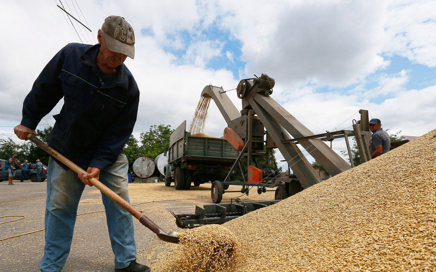 Slovakia tiêu hủy 1.500 tấn ngũ cốc của Ukraine
