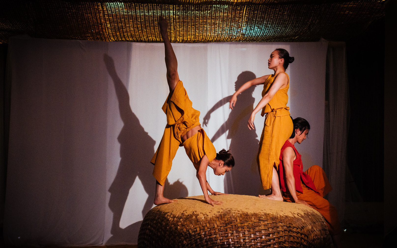 Tùng Monkey và cuộc chơi ánh sáng, âm thanh, mùi hương 15 năm- Ảnh 4. Giữ gìn nét đẹp tự nhiên của Côn Đảo qua nghệ thuật đương đại