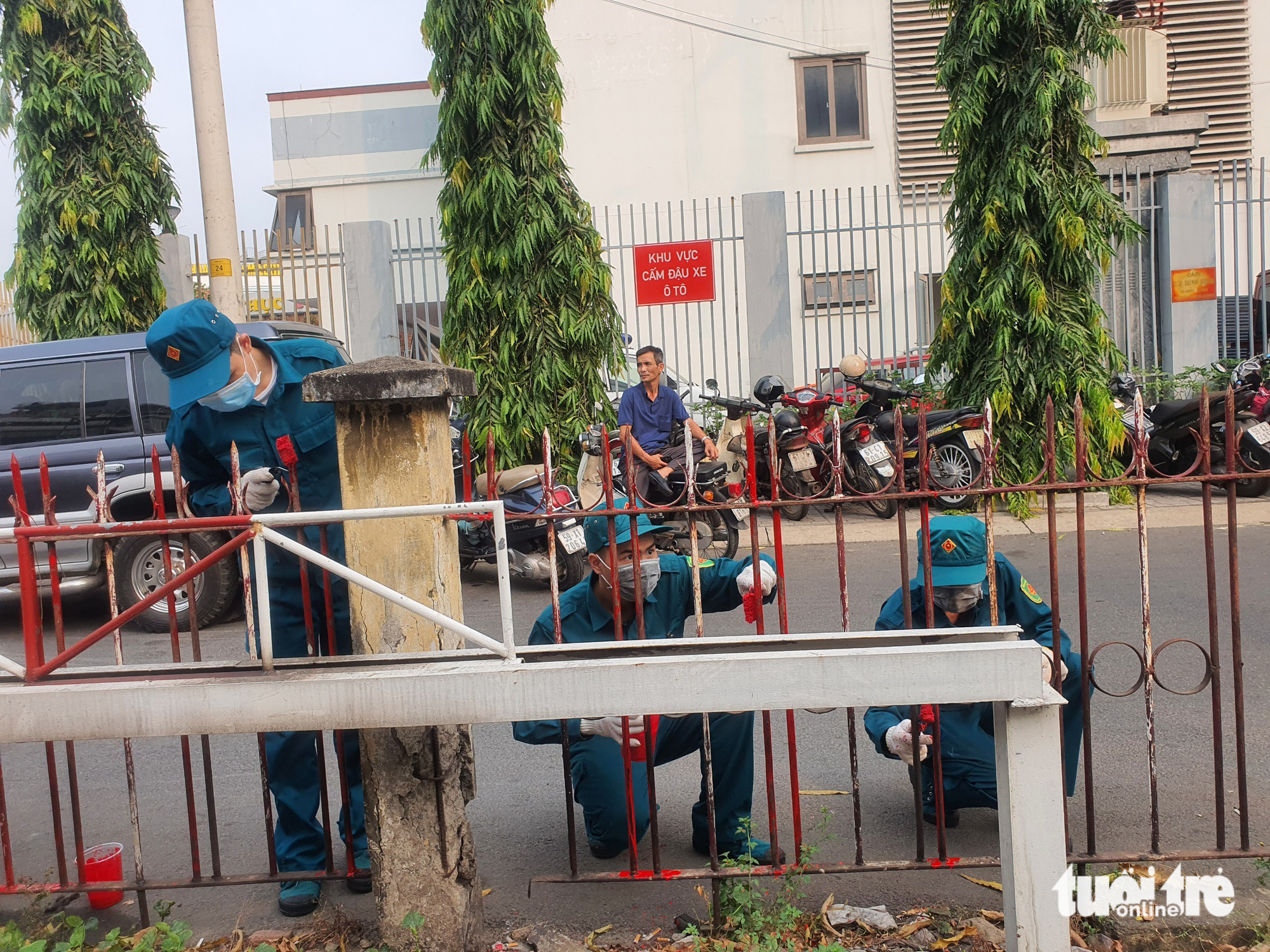 Quận Phú Nhuận ra quân trồng hoa thay áo cho tuyến đường sắt - Ảnh 4. Quận Phú Nhuận ra quân trồng hoa thay áo cho tuyến đường sắt - Ảnh 4.