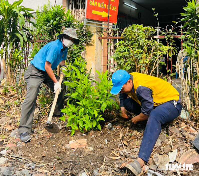 Quận Phú Nhuận ra quân trồng hoa thay áo cho tuyến đường sắt - Ảnh 3. Quận Phú Nhuận ra quân trồng hoa thay áo cho tuyến đường sắt - Ảnh 3.