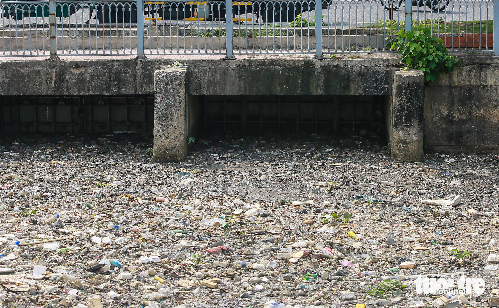 Sau mưa, cá chết, rác nổi lềnh bềnh trên kênh Nhiêu Lộc - Thị Nghè - Ảnh 6.