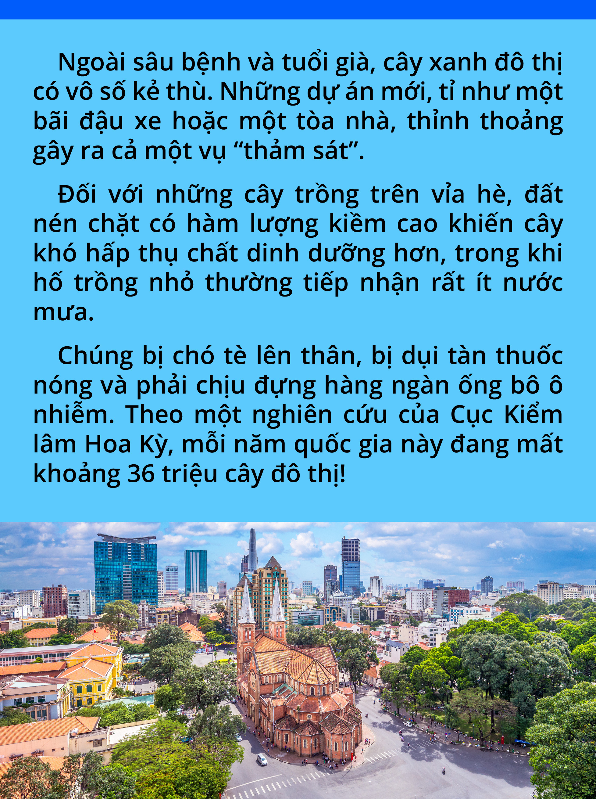 Thanh Niên Nhìn Thấy Hệ Thống Ẩn Dễ Dàng Sống Sót Khi Trái Đất Bị