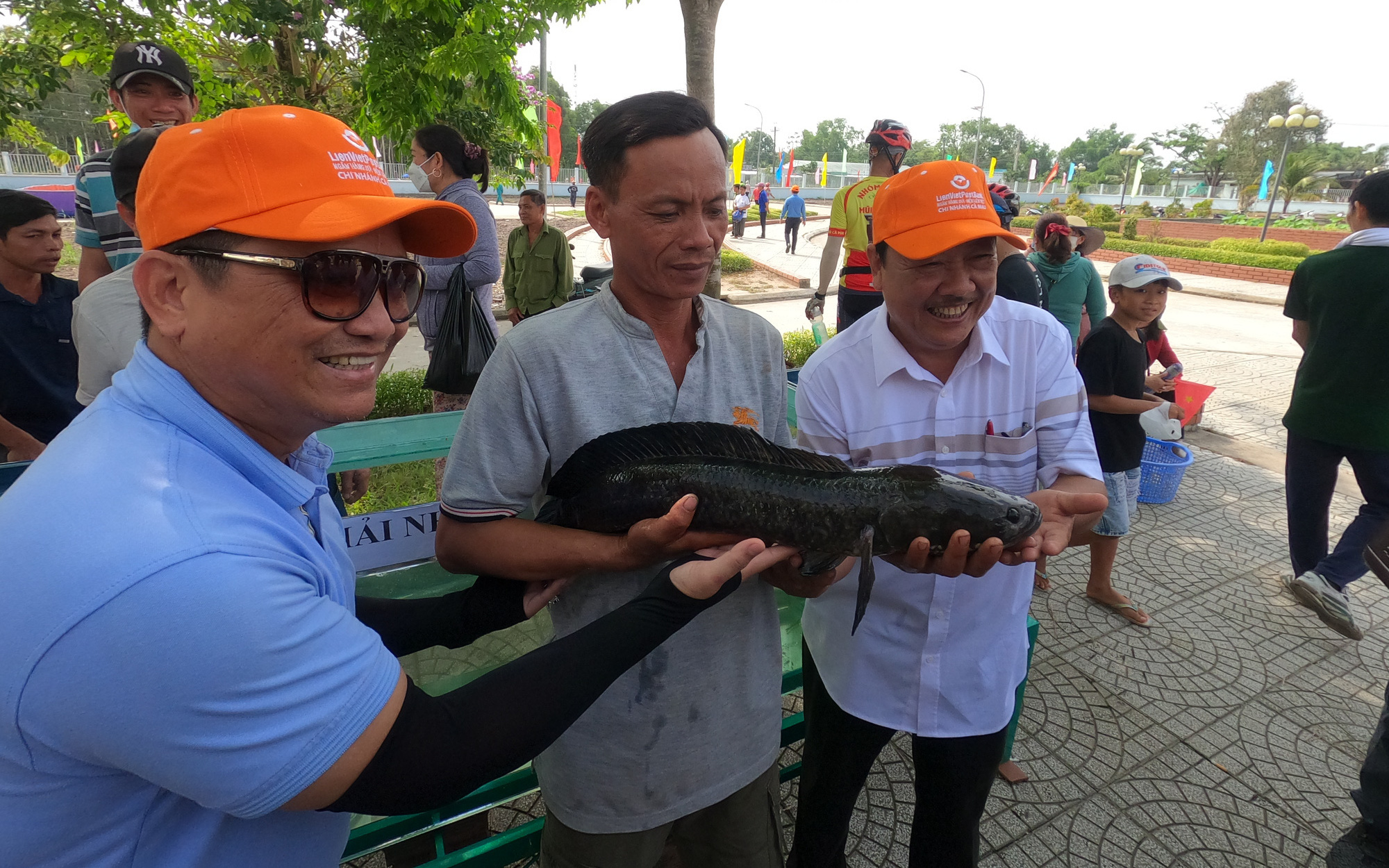 Đã tìm ra con cá lóc đồng to nhất rừng U Minh Hạ