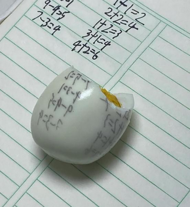 Ảnh vui 29-4: Gia chủ năn nỉ đừng hái quả bầu 'nối dõi tông đường' - Ảnh 2. Học hoài không vào...