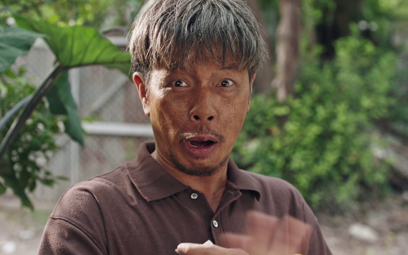 Thái Hòa tự nhận là 