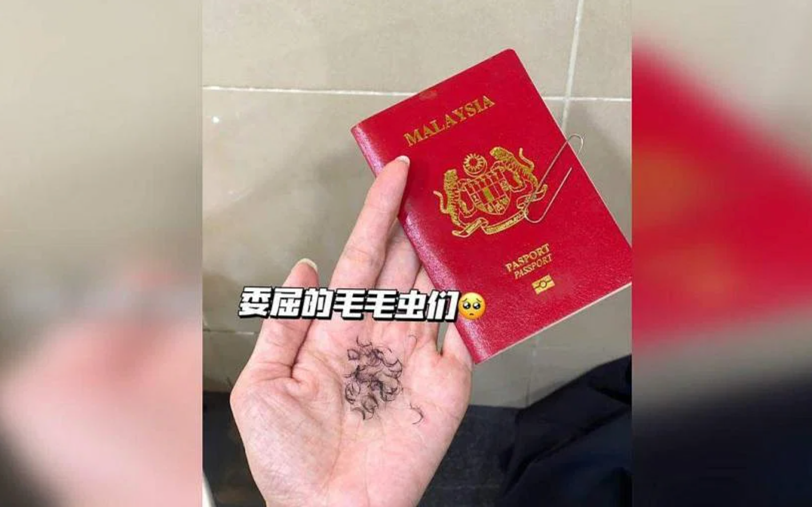 Phải tháo sạch lông mi giả khi chụp ảnh hộ chiếu ở Malaysia
