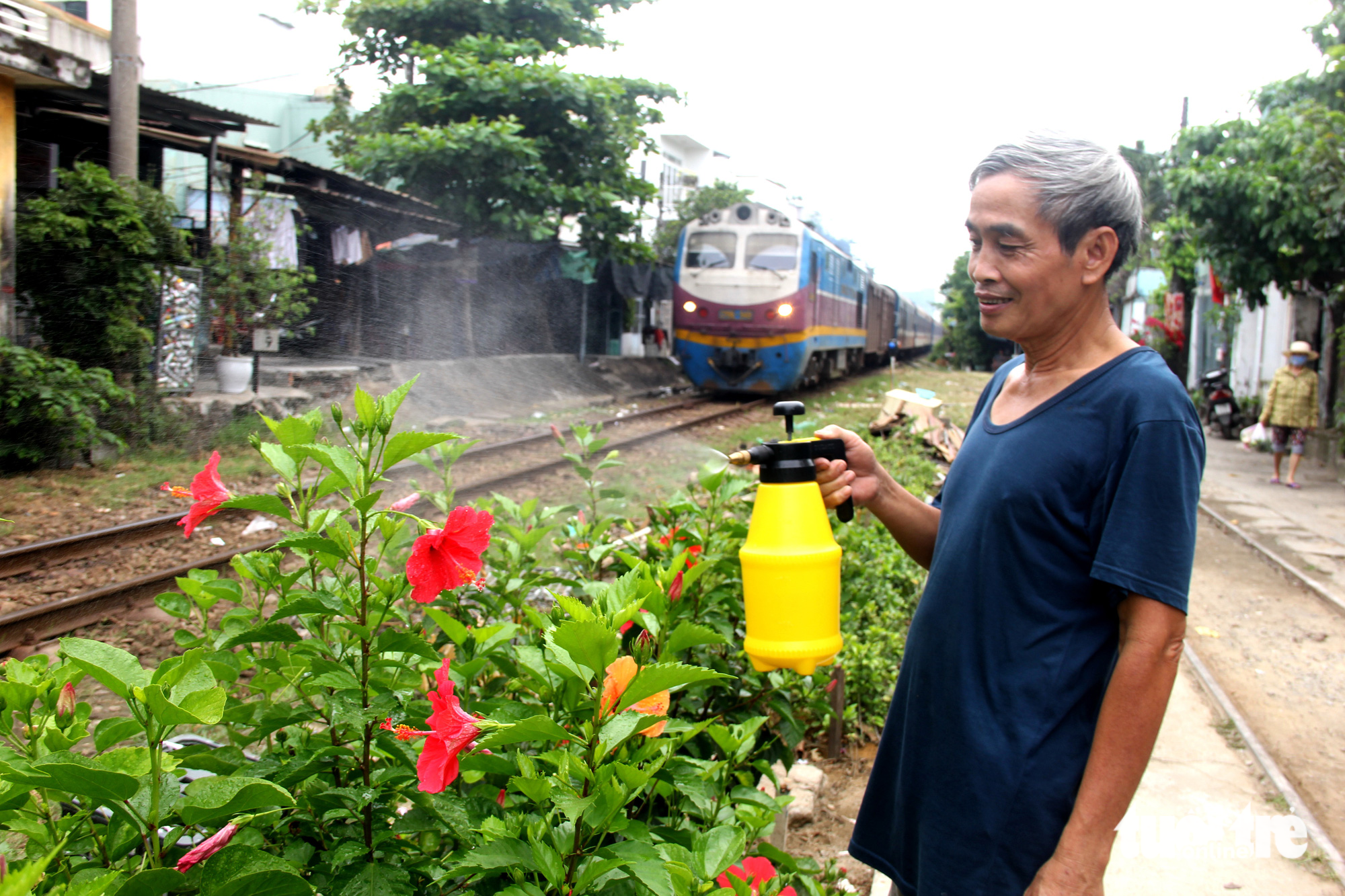 Ông Trần Ngọc Dũng (quận Thanh Khê, Đà Nẵng) chăm sóc hoa bên đường tàu trước nhà