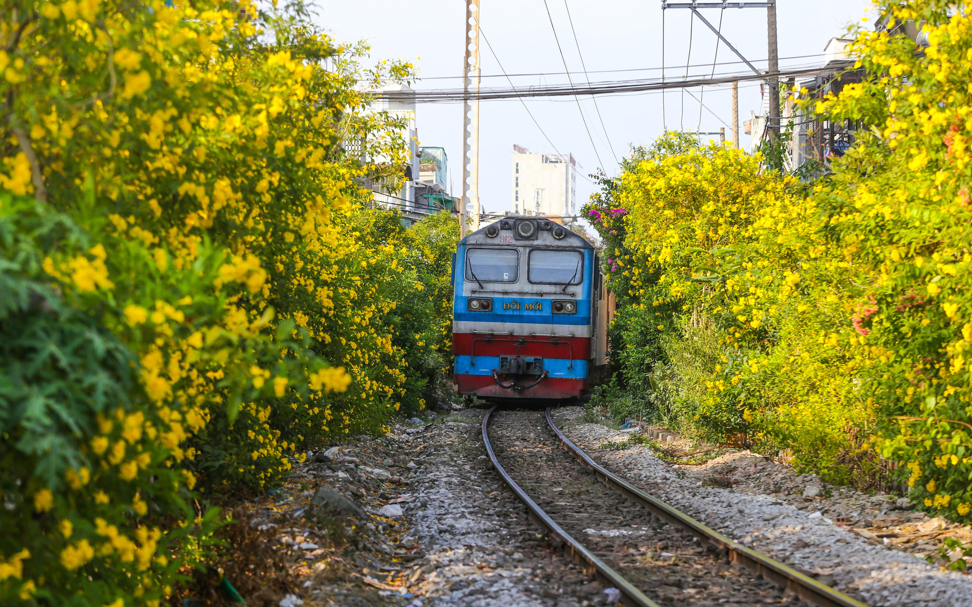 Hội LHPN xã Hoàng Khai tích cực xây dựng mô hình đường hoa tự quản