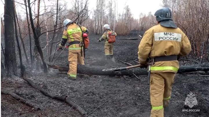 Cháy rừng lan rộng tại nhiều khu vực ở Nga - Ảnh 1.