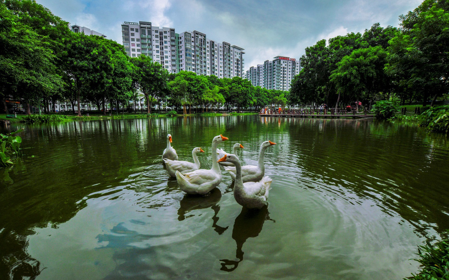 Artisan Park do Gamuda Land đầu tư là dự án đáng sống 2024 - Ảnh 6.