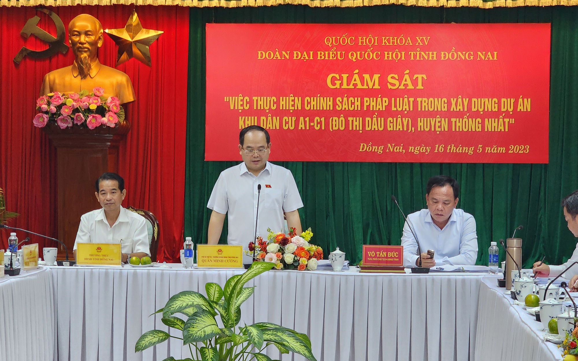 Đoàn Quốc hội Đồng Nai chuyển hồ sơ cho công an điều tra một dự án khu dân cư - Ảnh 2.