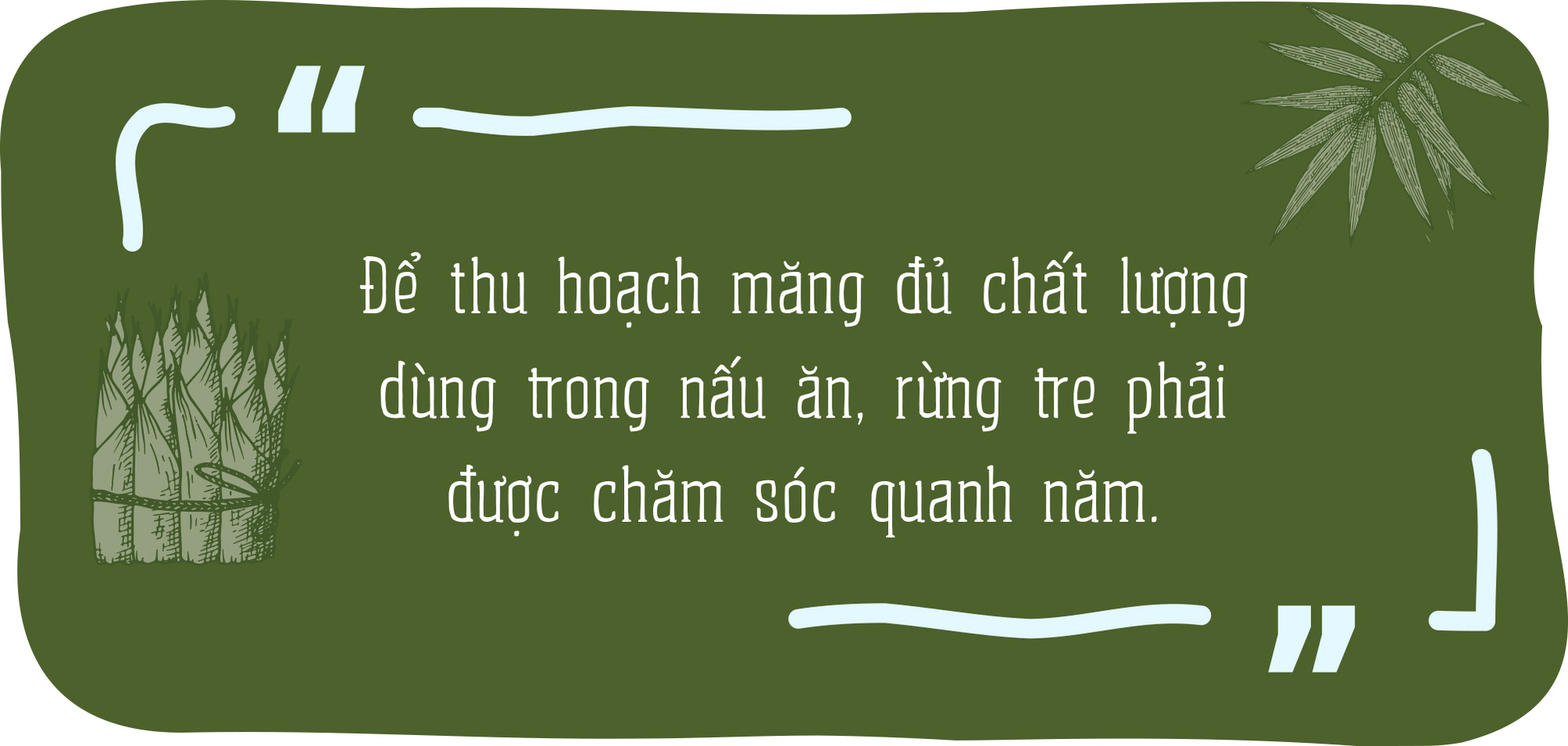 Tháng 5, tìm măng Kyo ở lòng bàn chân  - Ảnh 8.