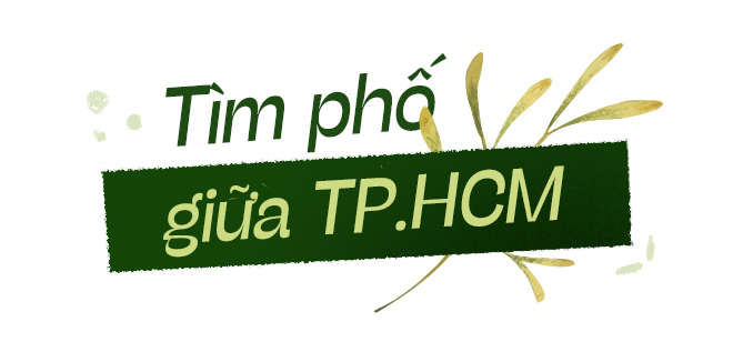 Vẫn còn đó một TP.HCM đất lành chim đậu - Ảnh 3.