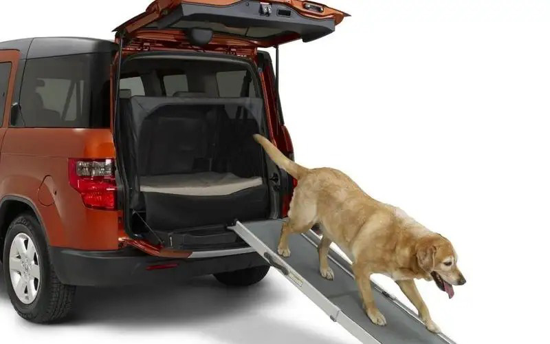 Lối đi cho chó: Cầu thang lên xuống cốp xe này xuất hiện trên Honda Element vào 2010 để giúp thú cưng người dùng dễ dàng ra vào khu vực này hơn. Ngoài ra, cầu thang này đi kèm lớp đệm sàn khoang hành lý chống thấm và quạt tại khoang hành lý để phục vụ &quot;thượng đế&quot; tại khu vực này - Ảnh: Autocar