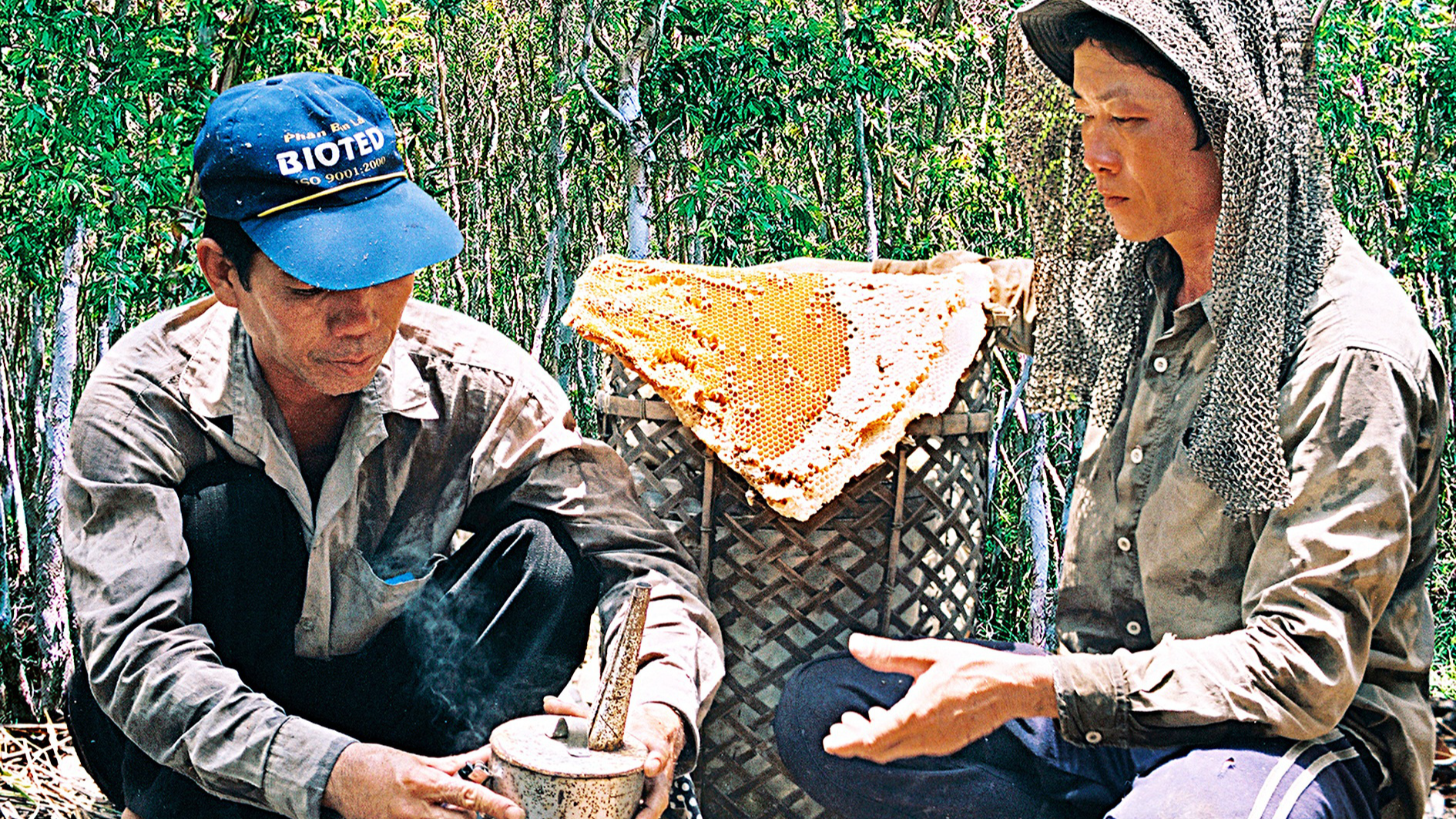 Thợ “ăn ong” chuẩn bị bình phun khói để “ăn ong” - Ảnh: NGUYỄN THANH DŨNG