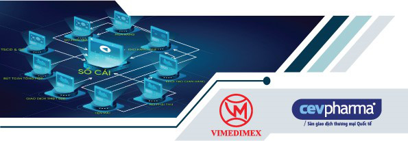 Vimedimex  Doanh nghiệp chuyển đổi số xuất sắc năm 2022 - Ảnh 6.