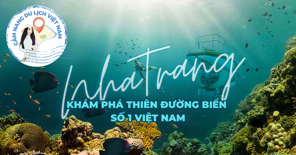 Cẩm nang du lịch Nha Trang: Khám phá thiên đường biển
