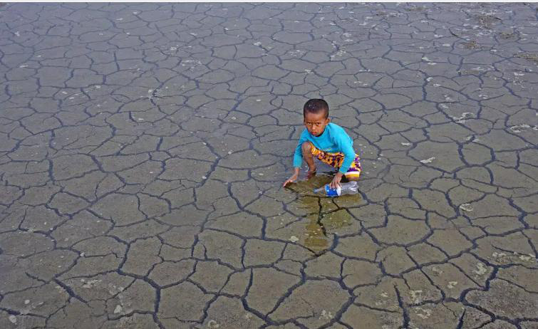 Đồng ruộng khô cằn ở Ấn Độ - Ảnh: EARTH.ORG