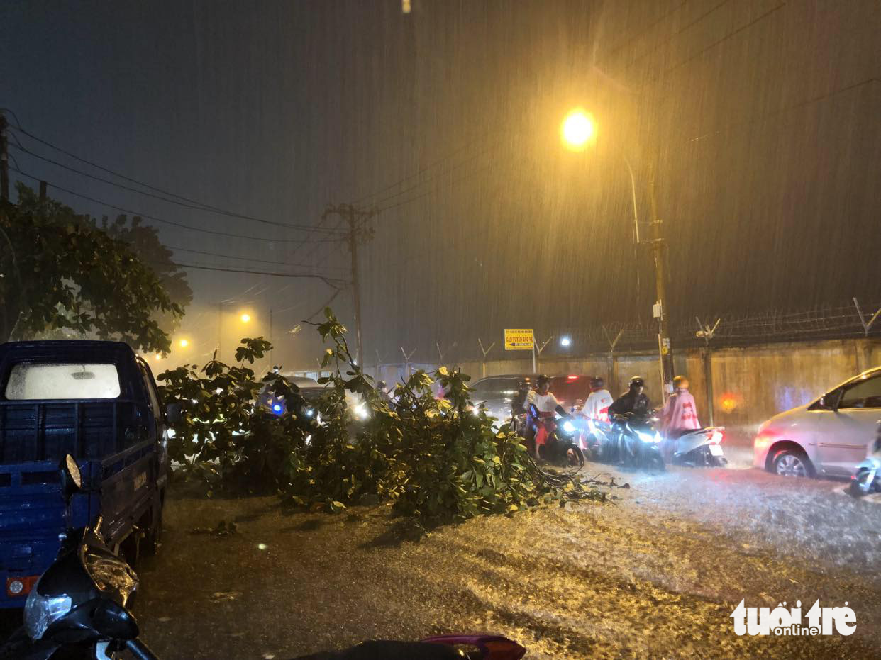 Cây xanh bật gốc và đường bị ngập tại đường Nguyễn Sơn, quận Gò Vấp - Ảnh: LƯU DUYÊN