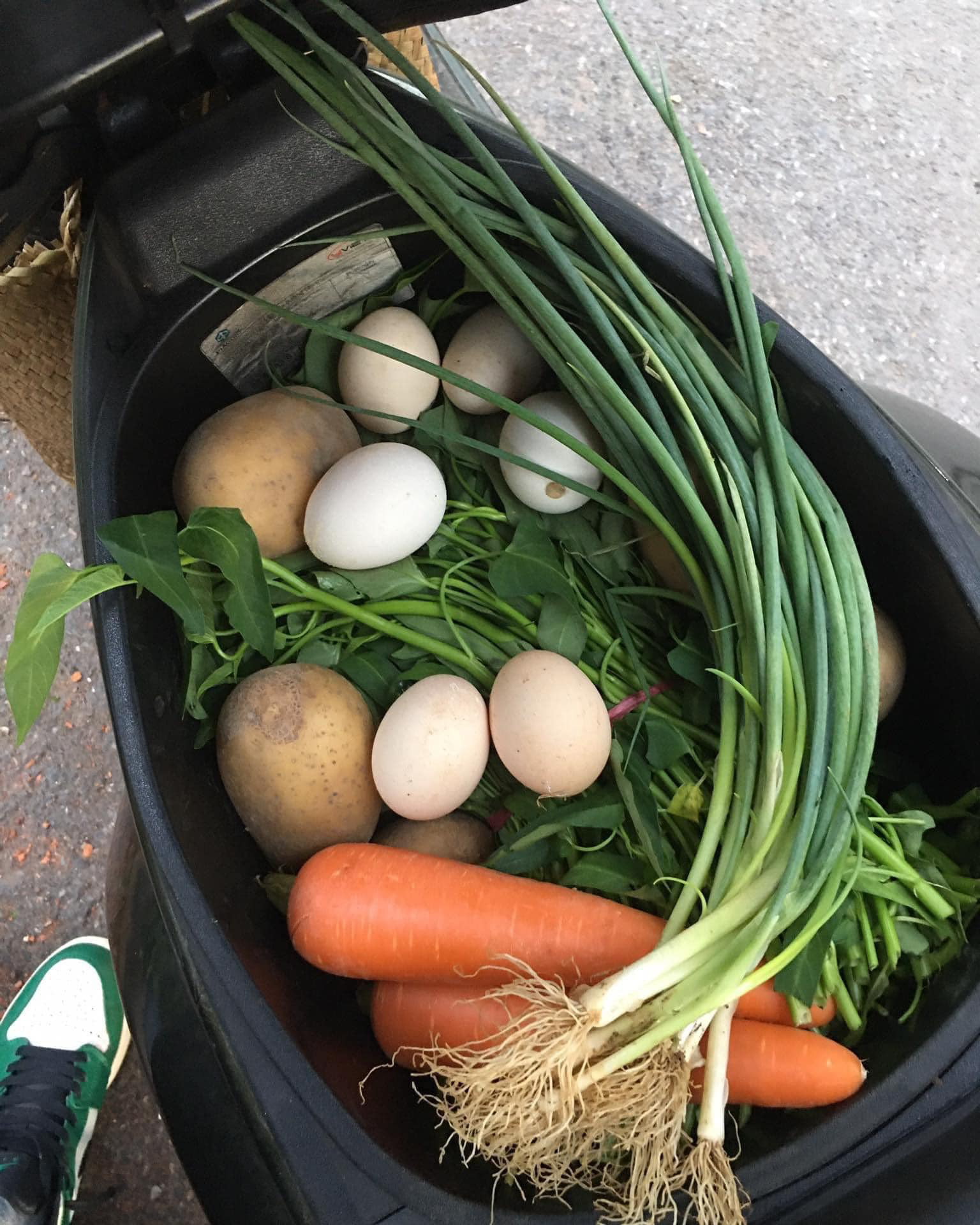 Ảnh vui 26-6: Husky hốt hoảng khi thấy 'ông cố nội' - Tuổi Trẻ Online