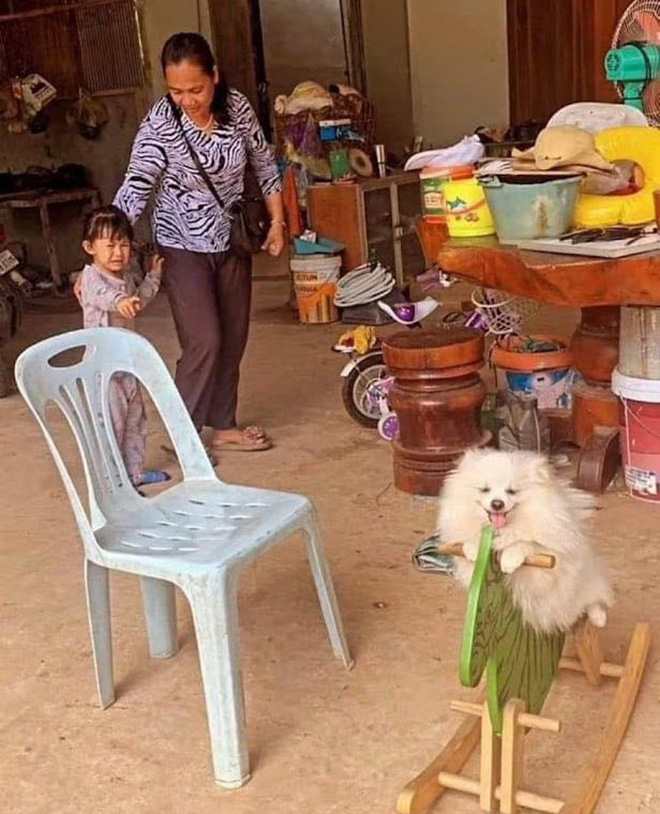 Ảnh vui 3-6: Đời thầy giáo không dễ nuốt như quý vị nghĩ - Ảnh 3. Ảnh vui 3-6: Đời thầy giáo không dễ nuốt như quý vị nghĩ - Ảnh 3.