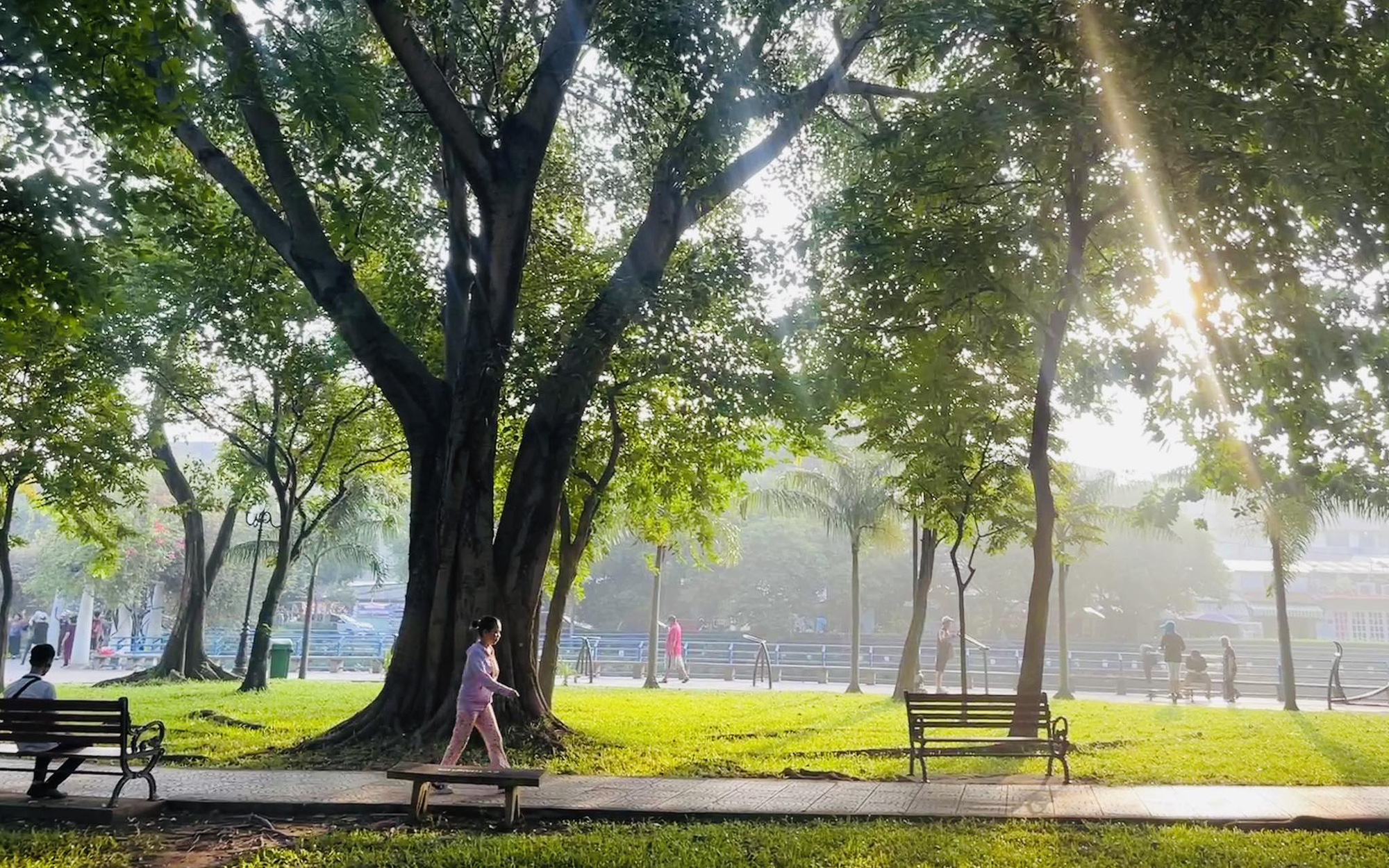 Cây cối khó ‘thở’ và thải nhiều CO2 hơn do khí hậu ấm lên- Ảnh 2. Nghiên cứu mới: Sống gần cây cối giúp con người trẻ hơn
