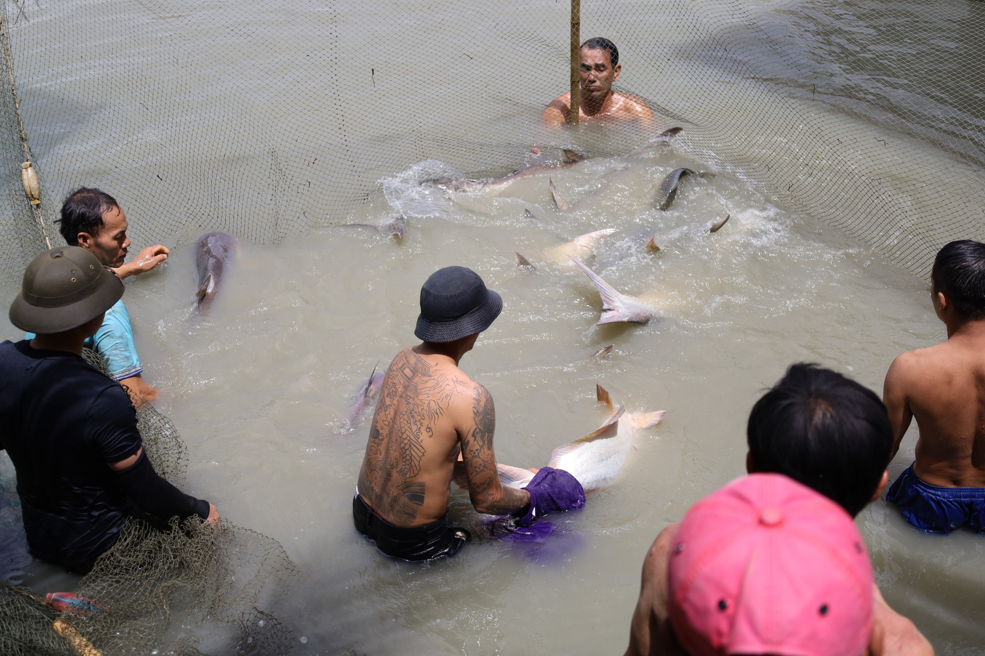 Ngắm đàn thủy quái sông Mekong - Ảnh 4.