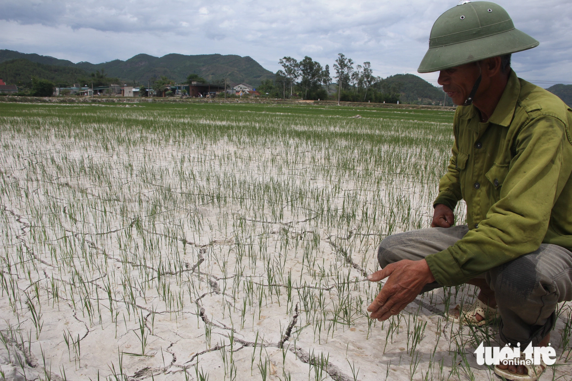 Người dân xã Hưng Yên Nam, huyện Hưng Nguyên, Nghệ An lo lắng khi đồng ruộng khô cạn - Ảnh: DOÃN HÒA