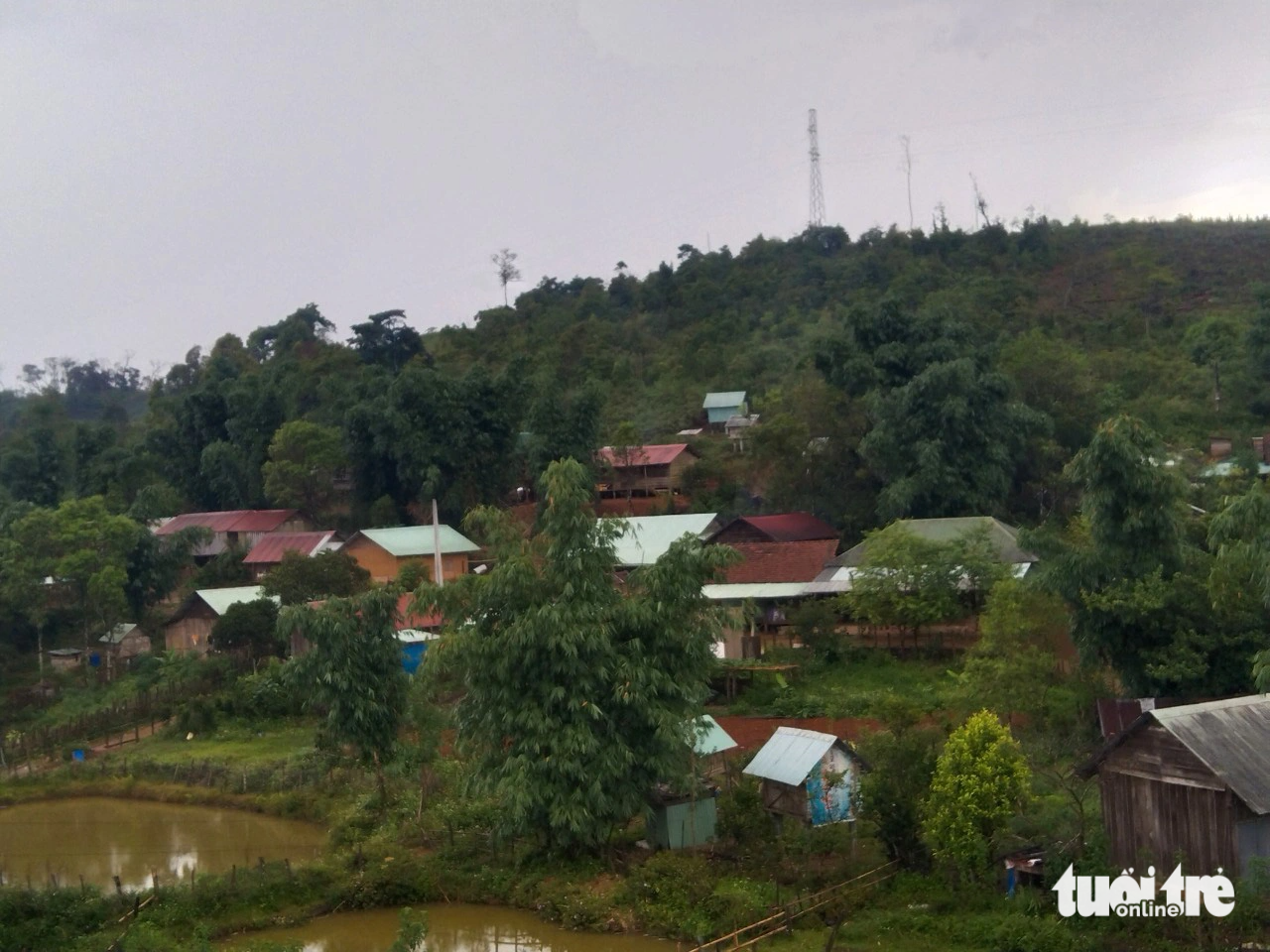 Người dân ở xã Măng Cành (huyện Kon Plông) cảm thấy không quá sợ hãi như cách đây 1 năm khi mới xảy ra động đất - Ảnh: TRẦN THỊ NỐP