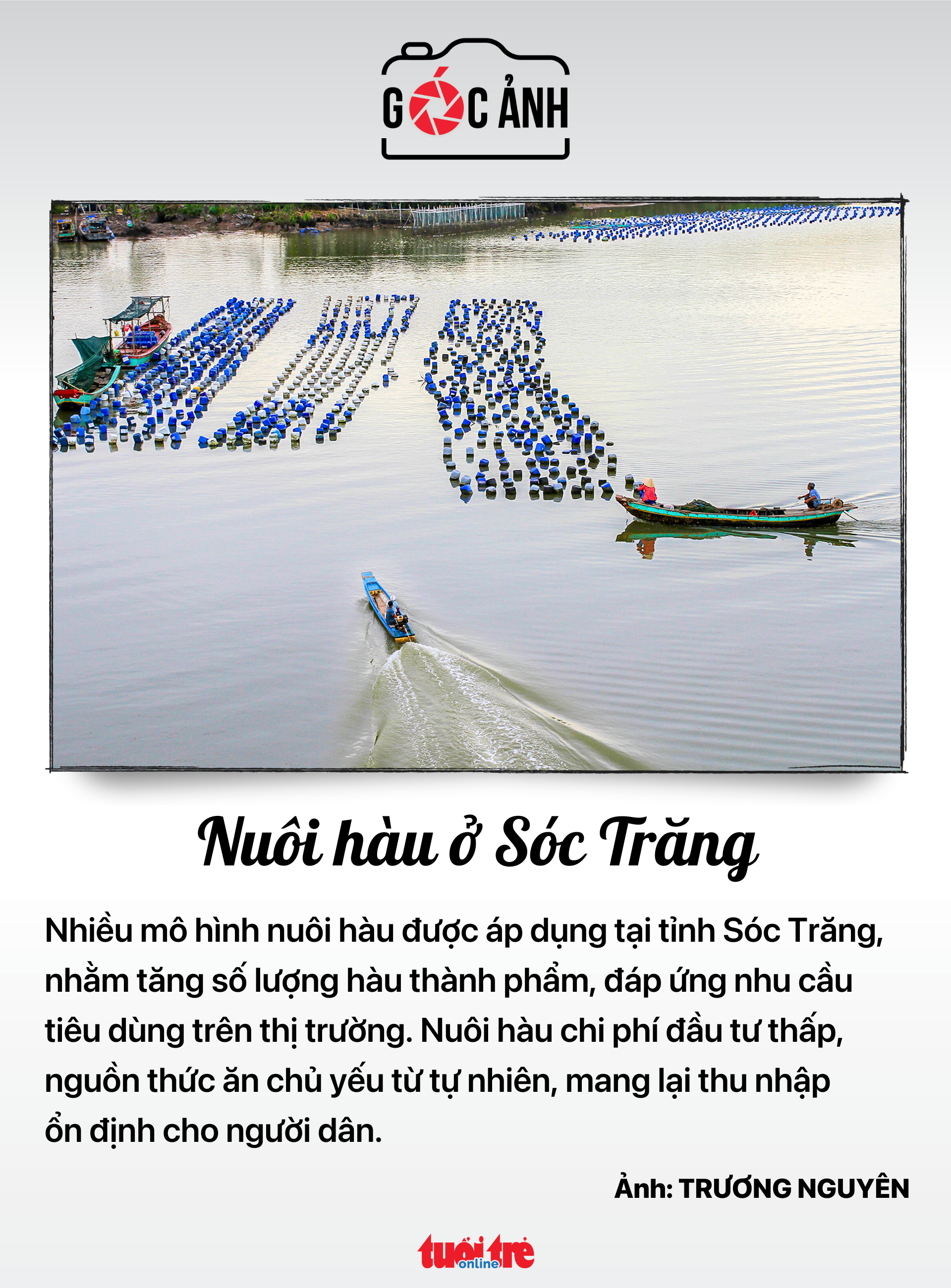 ソクチャンの牡蠣養殖 - 写真: TRUONG NGUYEN ソクチャンの牡蠣養殖 - 写真: TRUONG NGUYEN