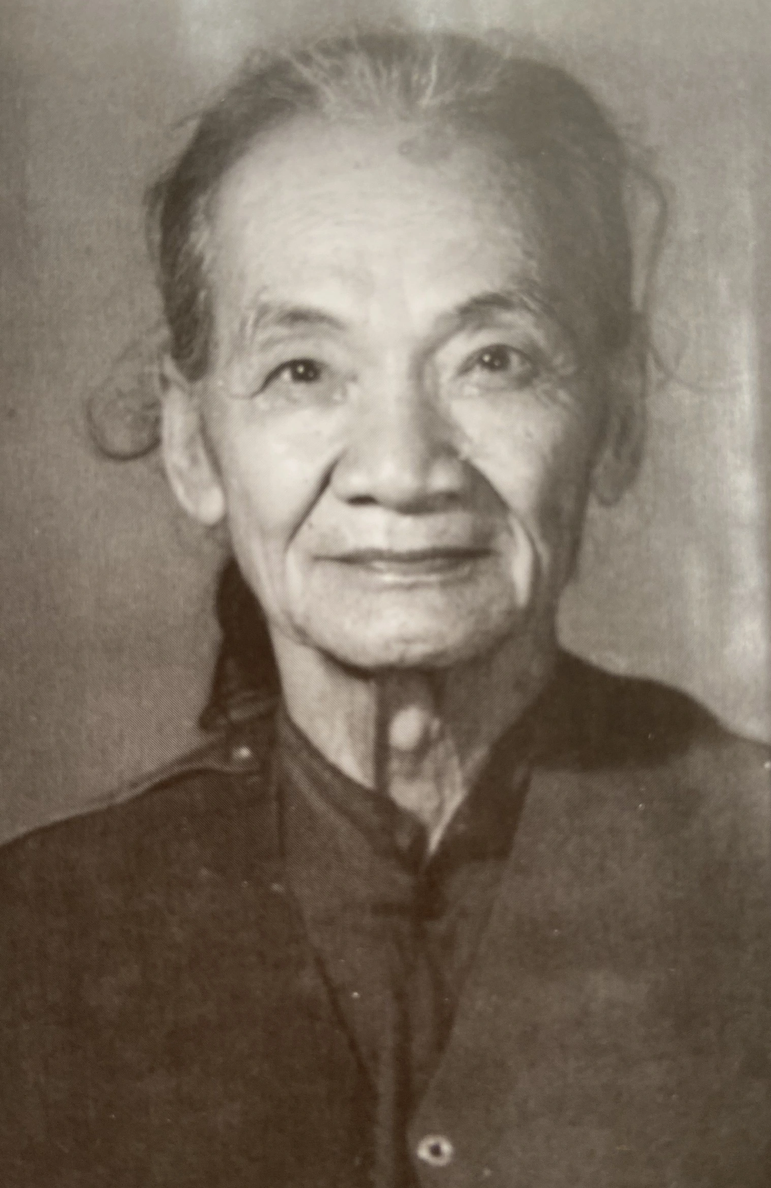 インドシナの特別な美術遺産 - 写真 3。 画家 トリン・フー・ゴック