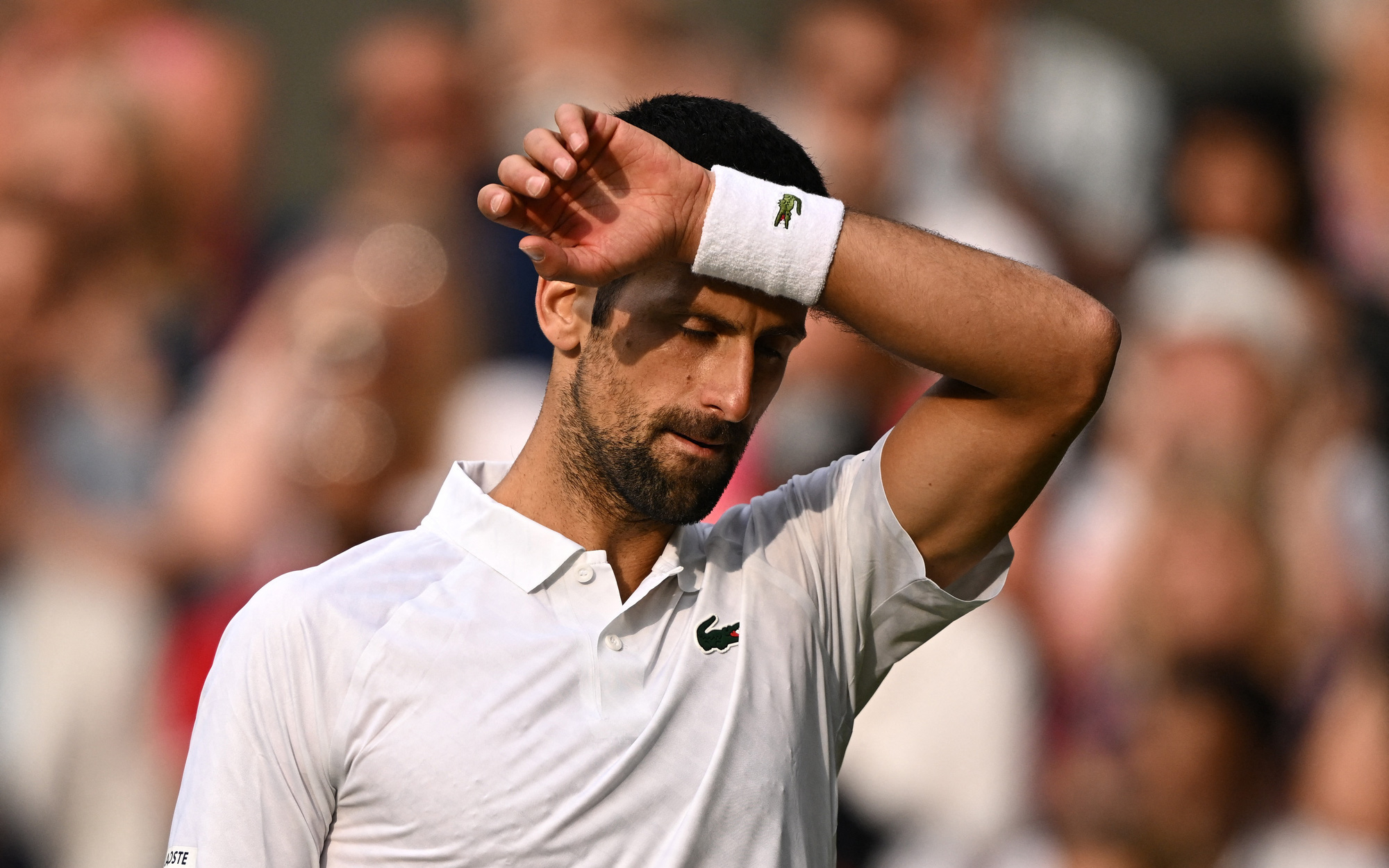 Djokovic thất bại ở trận chung kết Wimbledon kéo dài hơn 4 tiếng