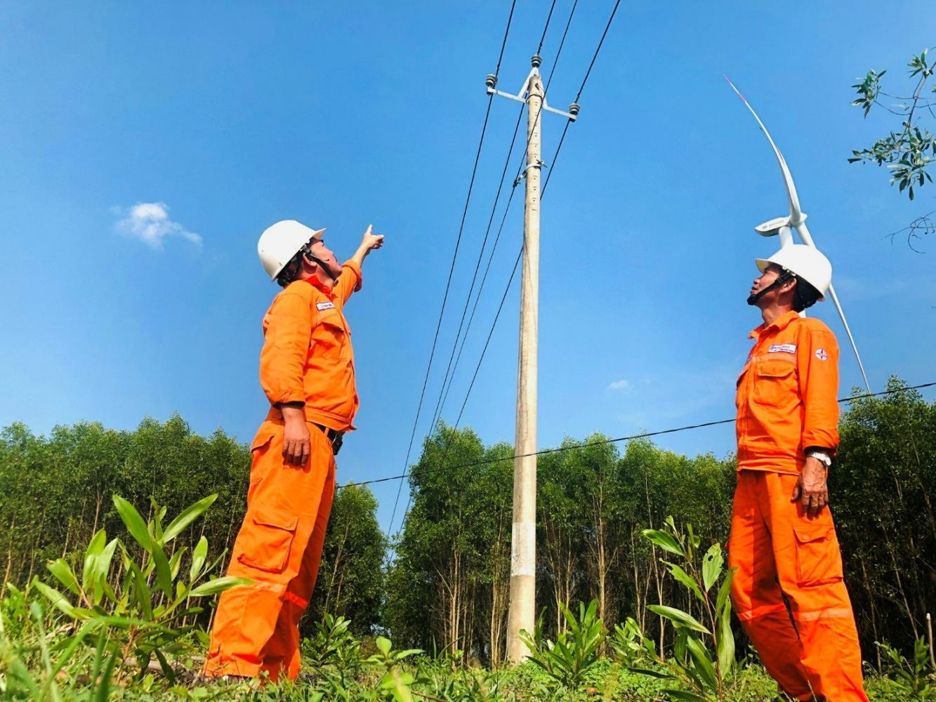 t-ng-c-ng-m-b-o-an-to-n-cho-tuy-n-ng-d-y-t-d-ng-22kv-tu-i-tr