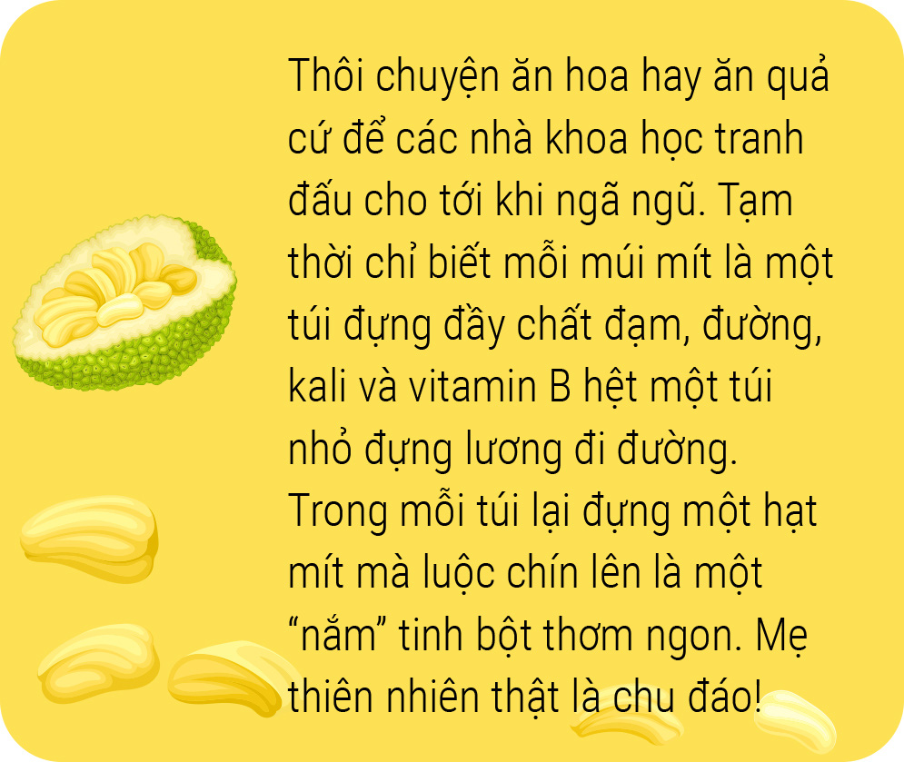 Một lịch sử thơm nức: Hãy yêu lấy mít và hạt mít - Ảnh 8.