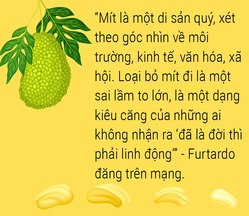 Một lịch sử thơm nức: Hãy yêu lấy mít và hạt mít - Ảnh 19.