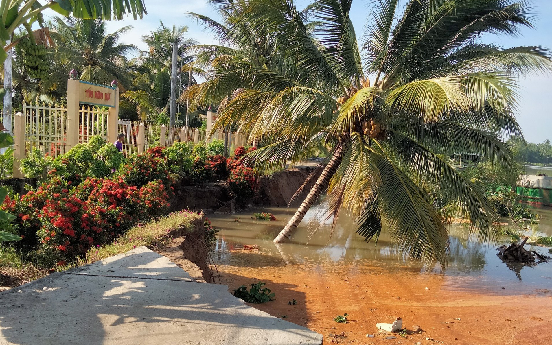 Hai điểm sạt lở tại Tiền Giang, 100m đường đổ xuống sông