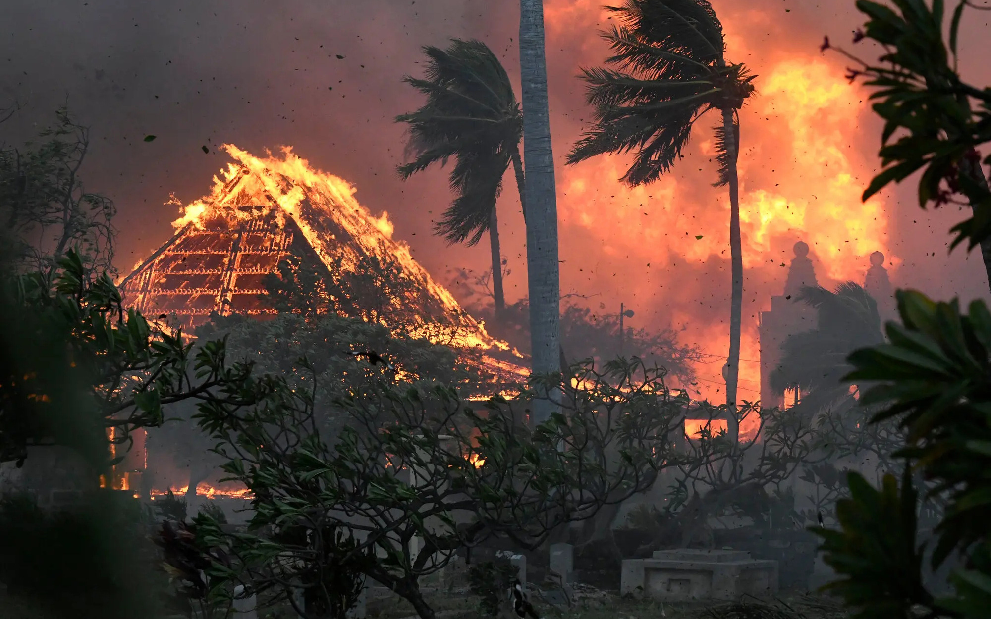 Cháy rừng hủy hoại thiên đường nghỉ dưỡng ở Hawaii như thế nào?