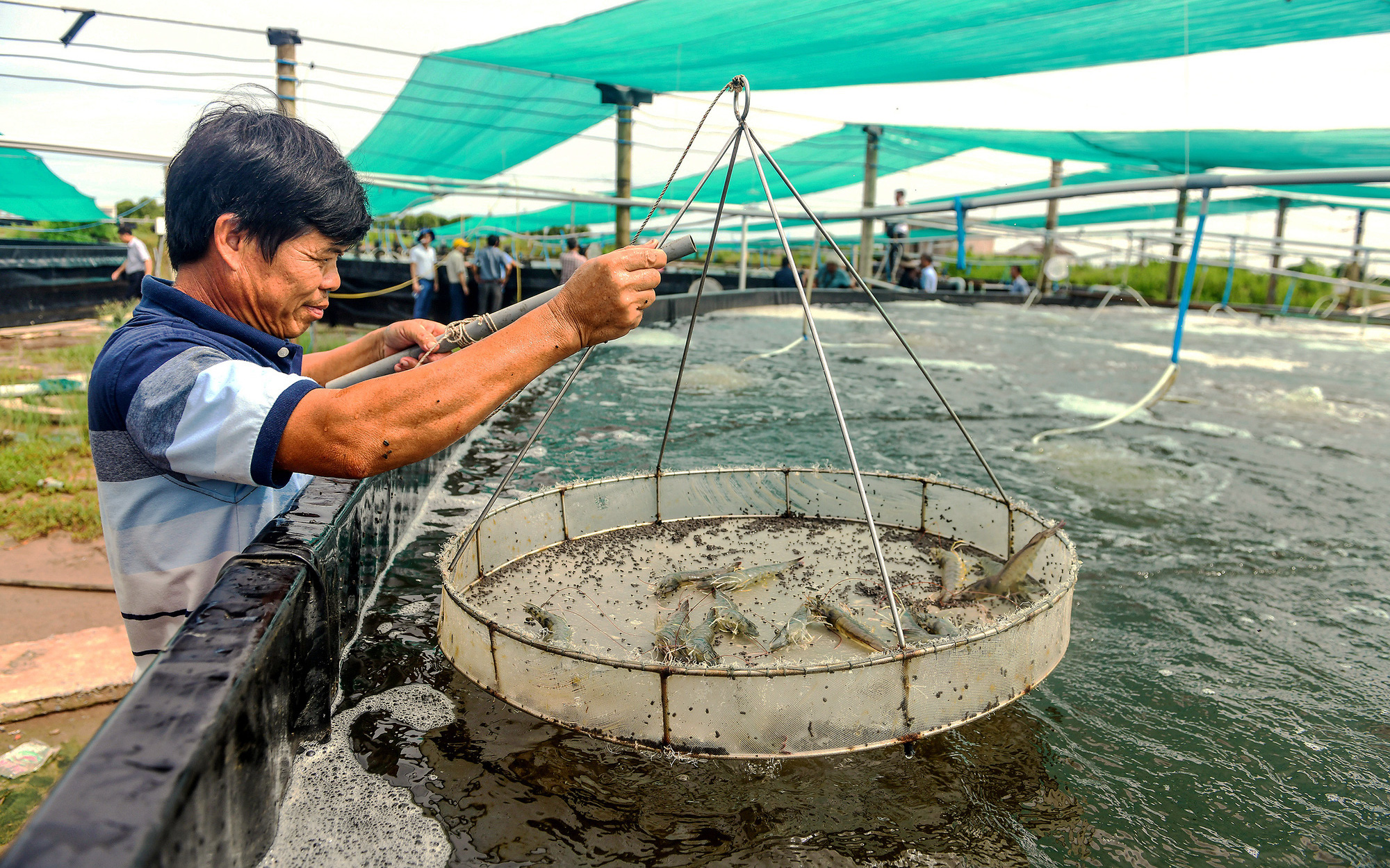 Nuôi tôm, cá nhọc nhằn, chỉ mấy ông bán thức ăn toàn thắng