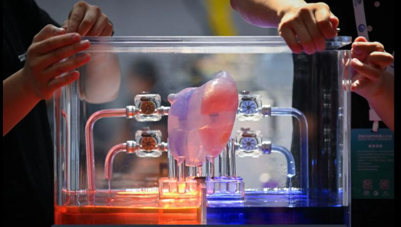 600 robot trên thế giới tham dự "Thế vận hội robot" tại Bắc Kinh - Ảnh 3. Một trái tim nhân tạo - Ảnh: AFP