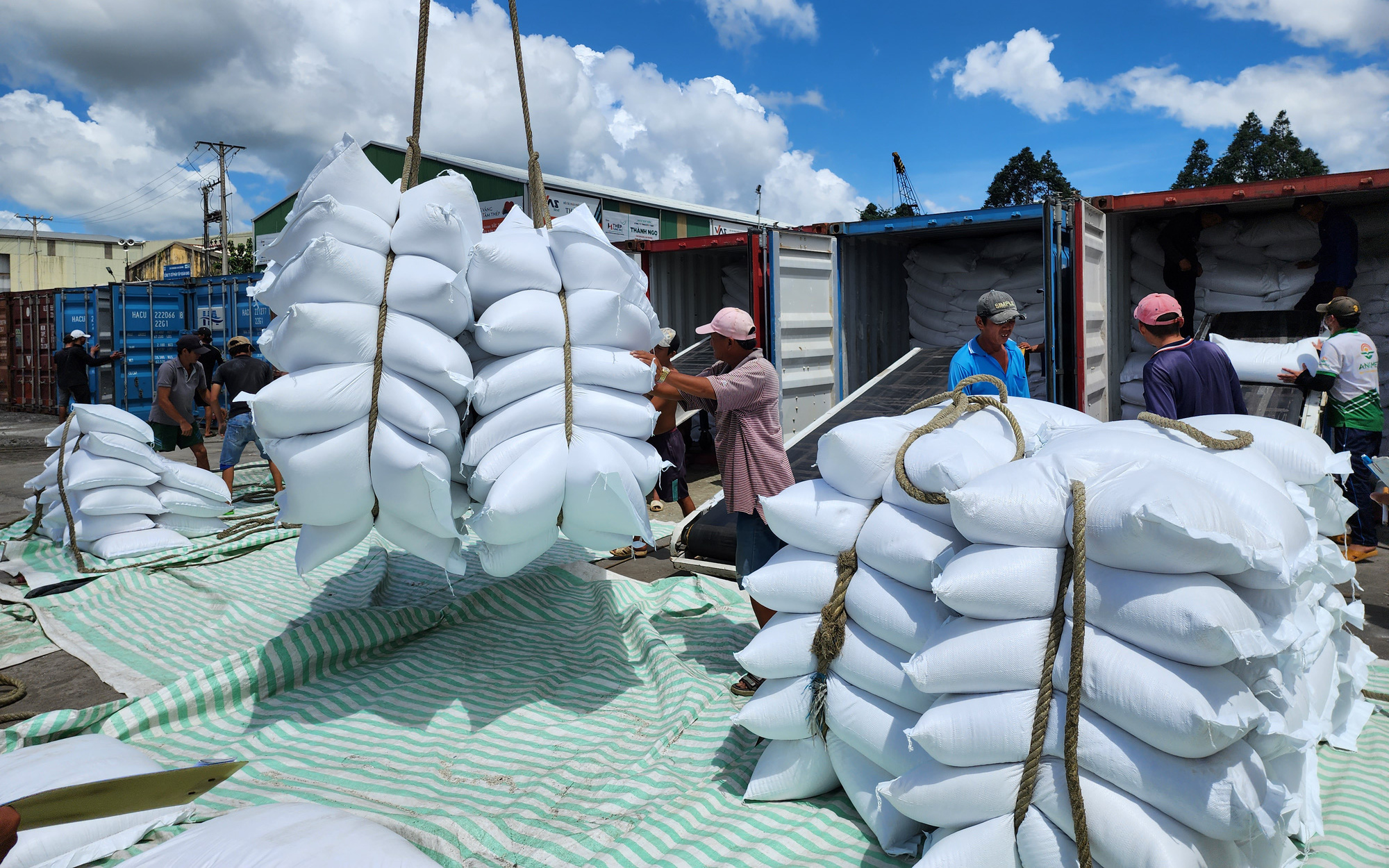 Giá gạo Việt Nam xuất khẩu tăng trở lại, lên 638 USD/tấn