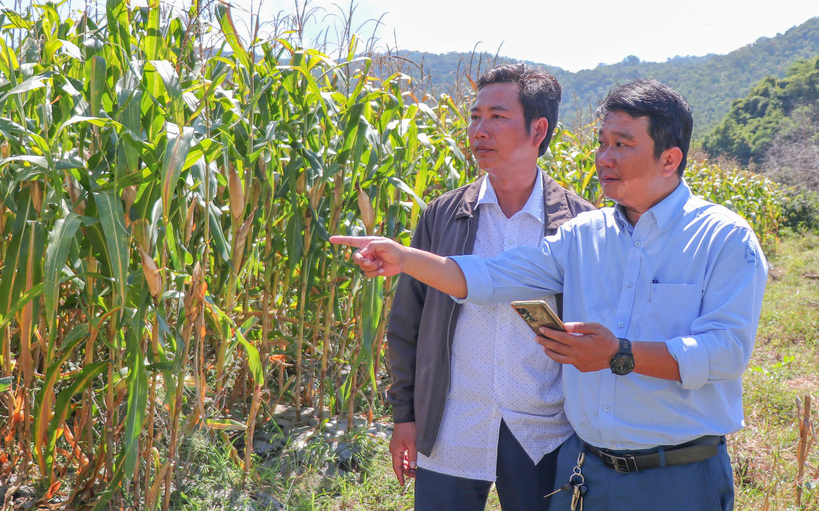Gia Lai nói không với chuyển 4.700ha rừng thành đất nông nghiệp- Ảnh 3. Lòng hồ thủy lợi bị chiếm để trồng bắp, làm bãi câu cá