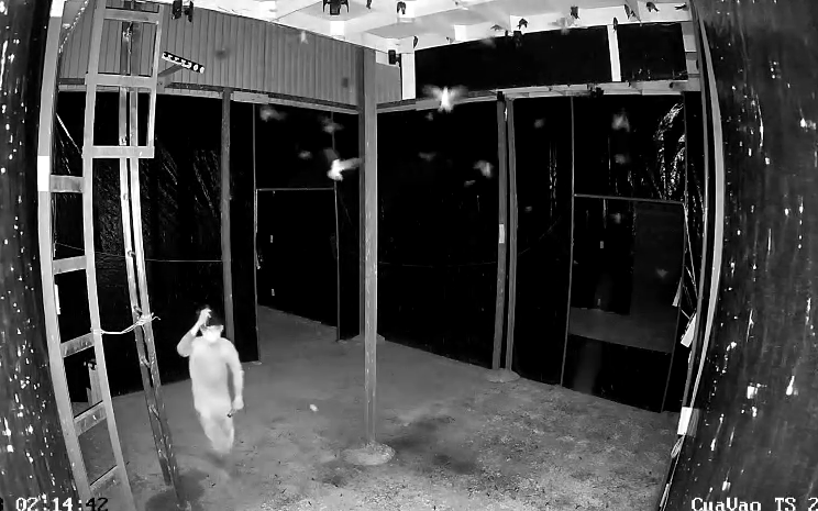 Camera ghi hình người đàn ông nửa đêm đột nhập trộm 5kg tổ yến- Ảnh 4. Bắt 2 thợ hồ chuyên đột nhập trộm tổ yến ở miền Tây