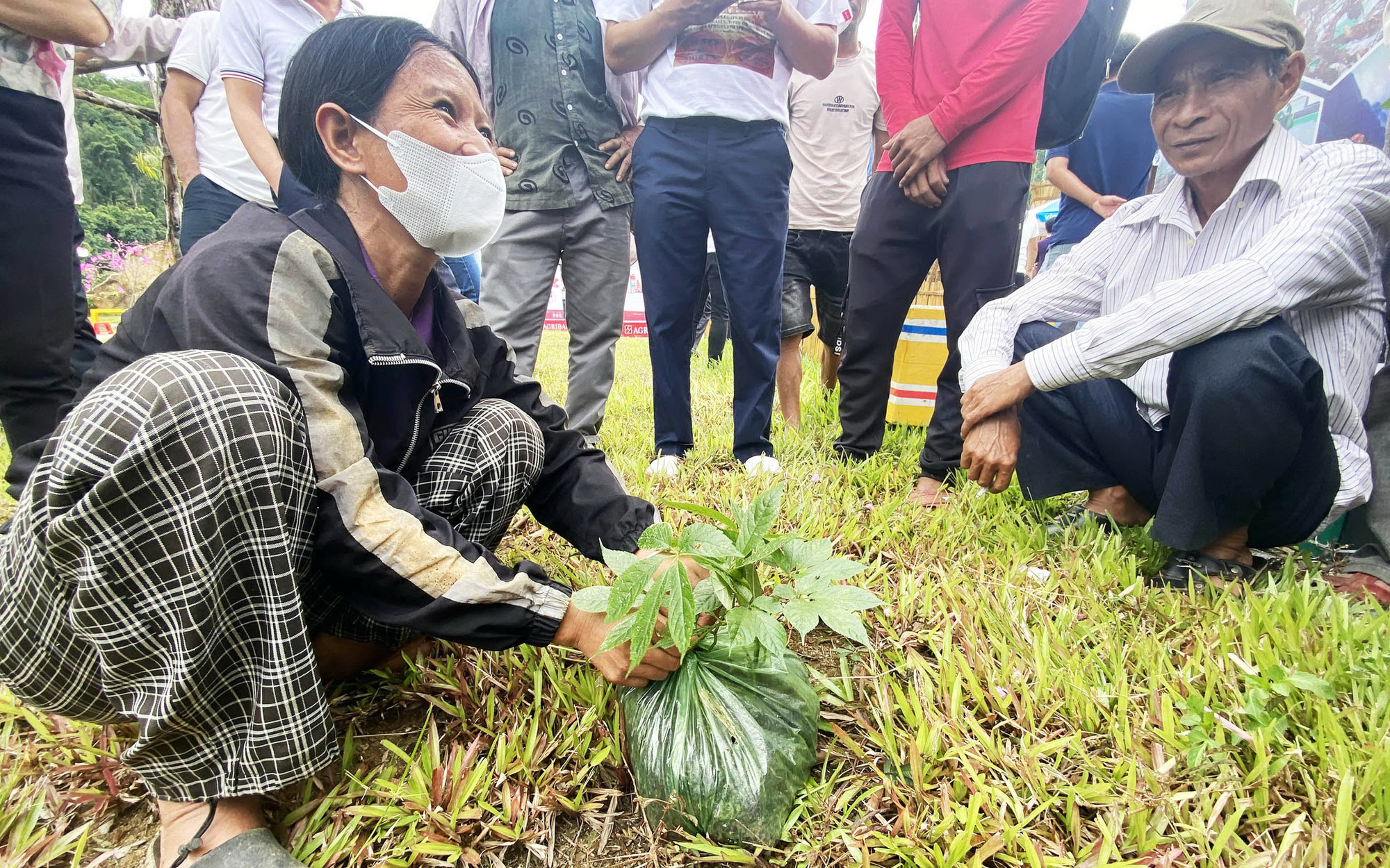 Gùi sâm Ngọc Linh xuống núi, lái ô tô về nhà