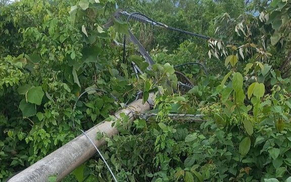 Hàng loạt trụ điện trung thế ngã đổ xuống đường gây mất điện diện rộng- Ảnh 2. Cột điện ngã do trộm cắt dây néo, cả xã mất điện