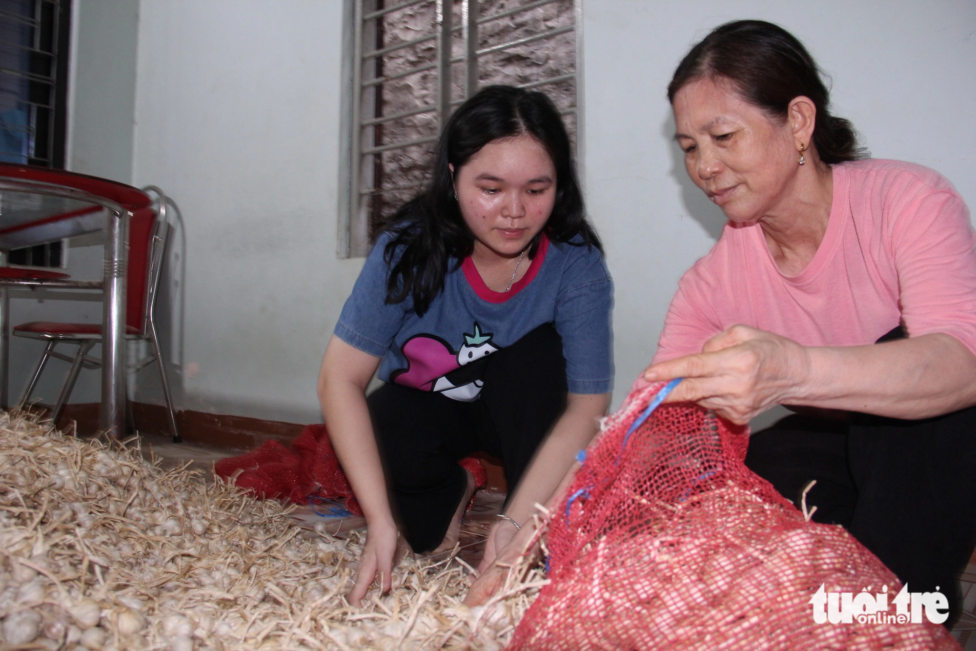 Xuân Trường cùng bà ngoại cho tỏi vào bao mang đi bán, tỏi do mẹ Trường làm được trong vụ mùa vừa qua - Ảnh: TRẦN MAI