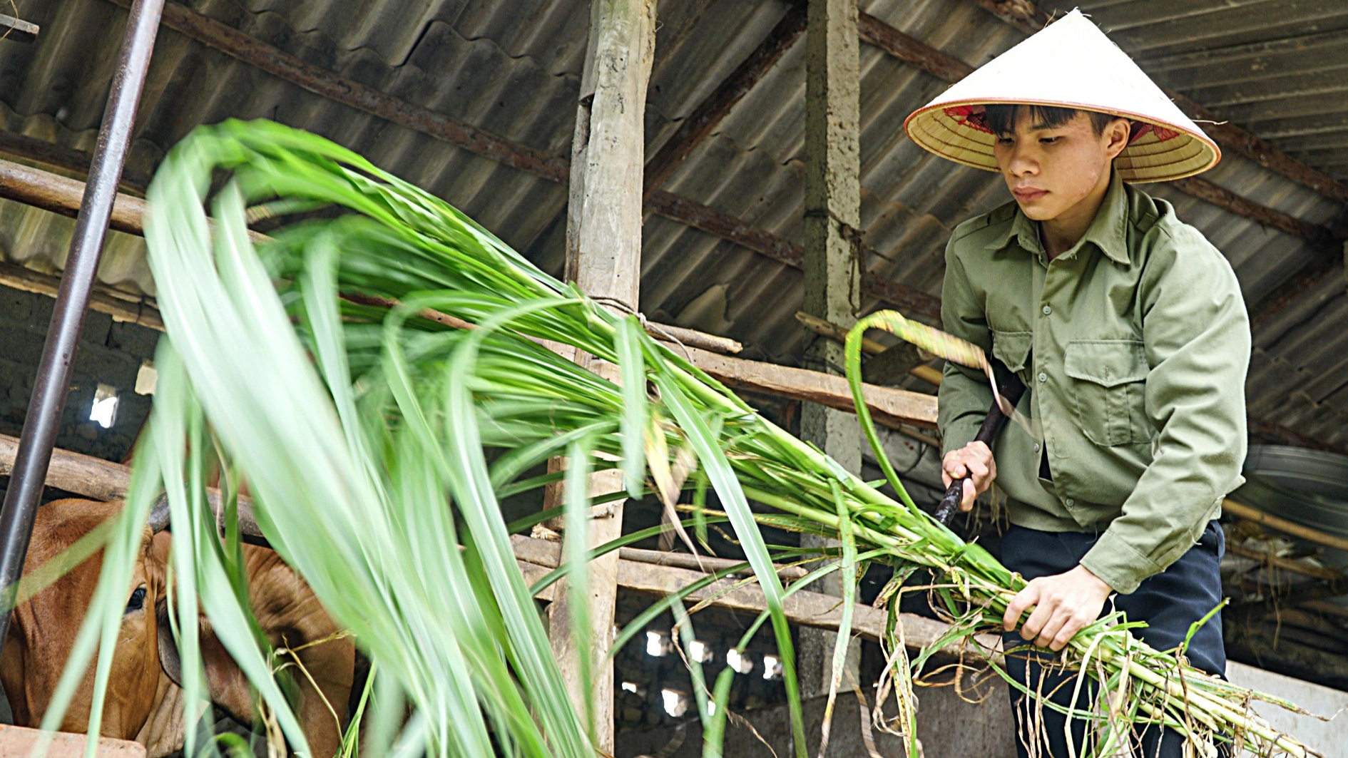 Đang làm công nhân, nhận tin đỗ thủ khoa - Ảnh 1.