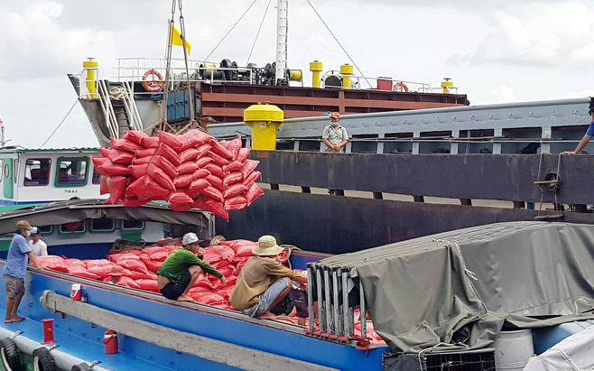 VCCI chỉ ra loạt điểm vô lý trong dự thảo xuất khẩu gạo đang làm khó doanh nghiệp