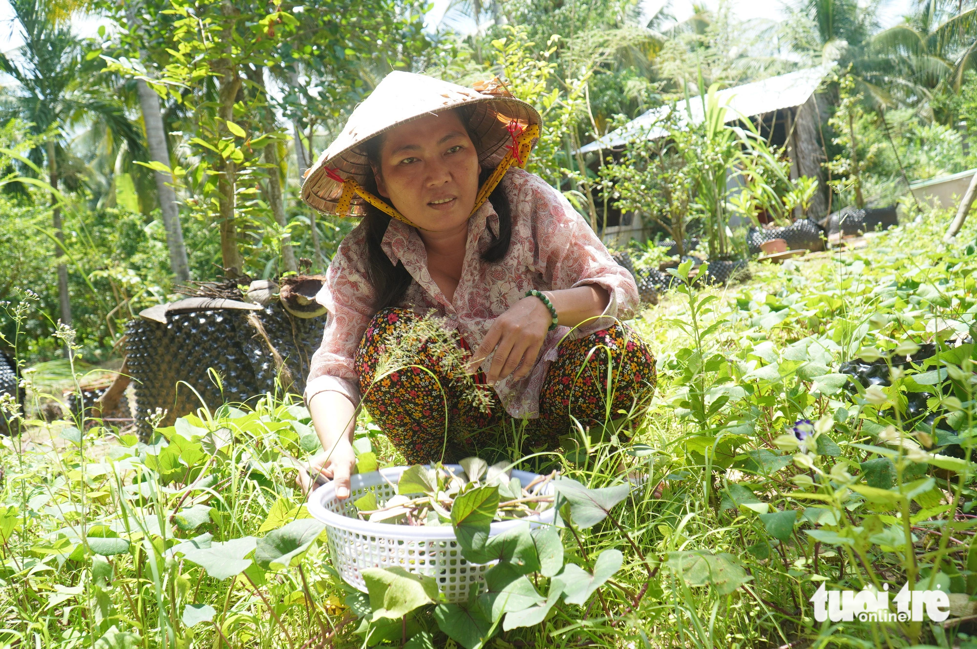 Ms Huang cuts vegetables to prepare a meal for her mother and her children - Photo: MAU Truong