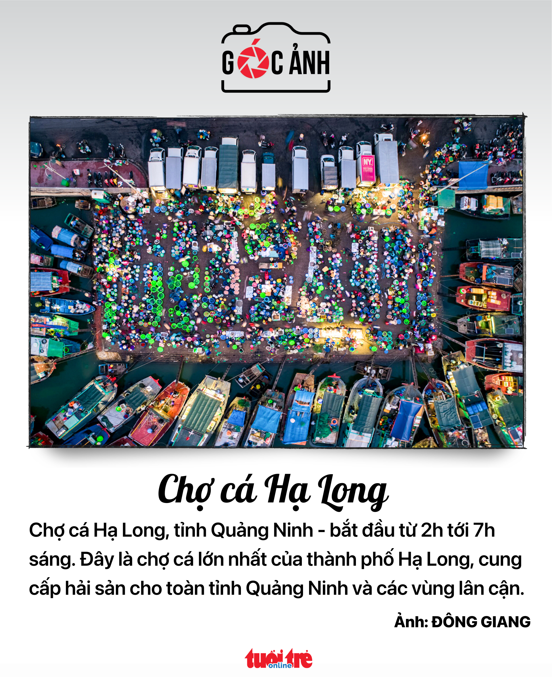 ハロン魚市場 - 写真: DONG GIANG