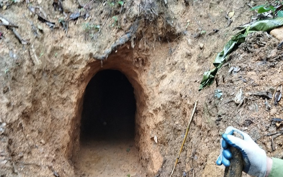 Phát hiện đường hầm khai thác vàng trái phép tại khu rừng đặc dụng Pù Luông